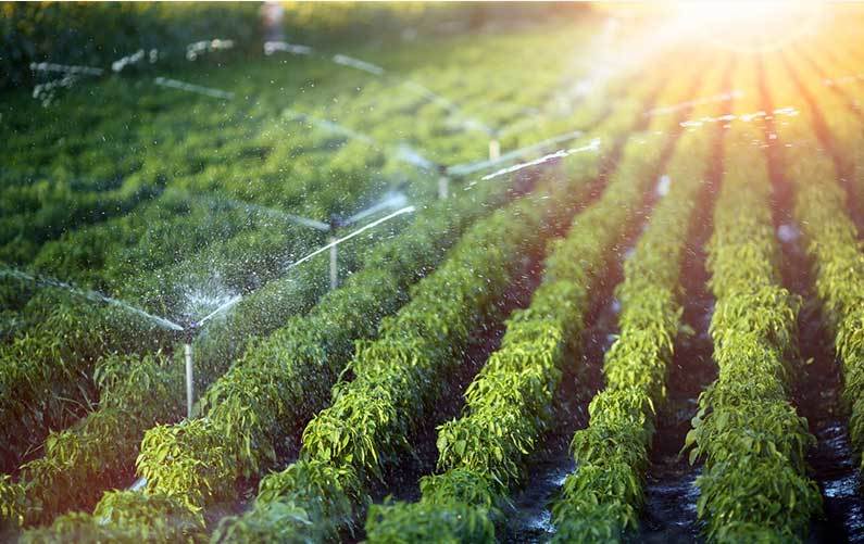 节水灌溉方式及优势分析